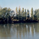 Comarca Río Colorado - La Adela