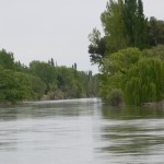 F11- Comarca Río Colorado - La Adela - 005