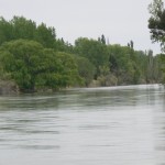 Comarca Río Colorado - La Adela