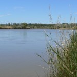 Comarca Río Colorado - La Adela