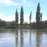 Comarca Río Colorado - La Adela