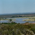 Río Colorado aguas abajo de 25 de Mayo y Catriel