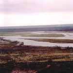 Río Colorado aguas abajo de 25 de Mayo y Catriel