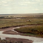 Río Colorado aguas abajo de 25 de Mayo y Catriel