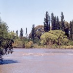 Pedro Luro (Provincia de Buenos Aires)