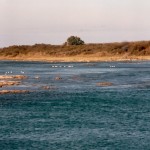 Río Colorado en Pichi Mahuida, proximo a obra de Toma Acueducto La Pampa