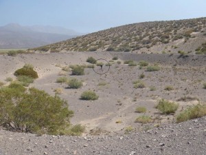 Se observa Tercer terraplén de cierre, y referencia de la altura del mismo con la presencia de una persona-