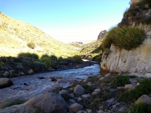 Arroyo curamilio