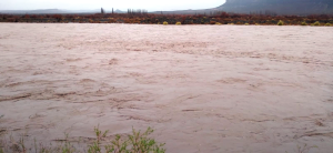 Vista de la crecida del Colorado, aguas abajo de Buta Ranquil, el sábado 24 de junio.